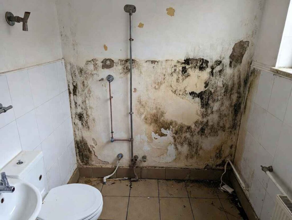 Black mould on bathroom walls and exposed pipes in UK property